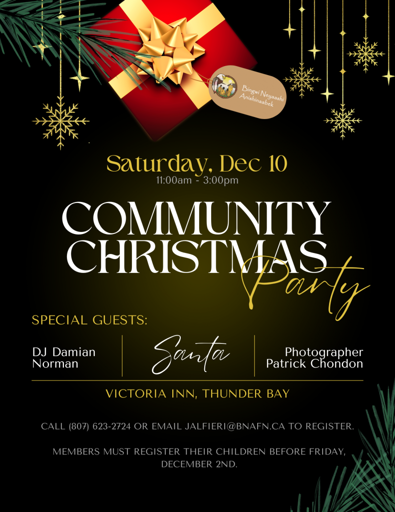 Community Christmas Party Poster